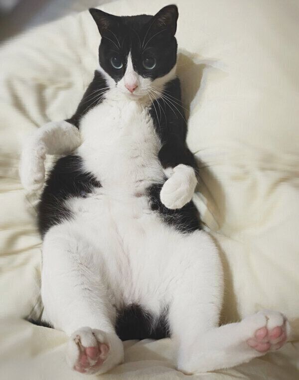 寝転がるめいさん