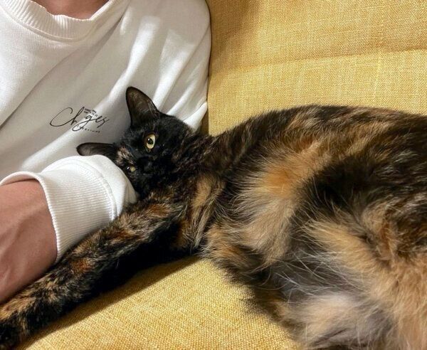 甘える蒼ちゃん