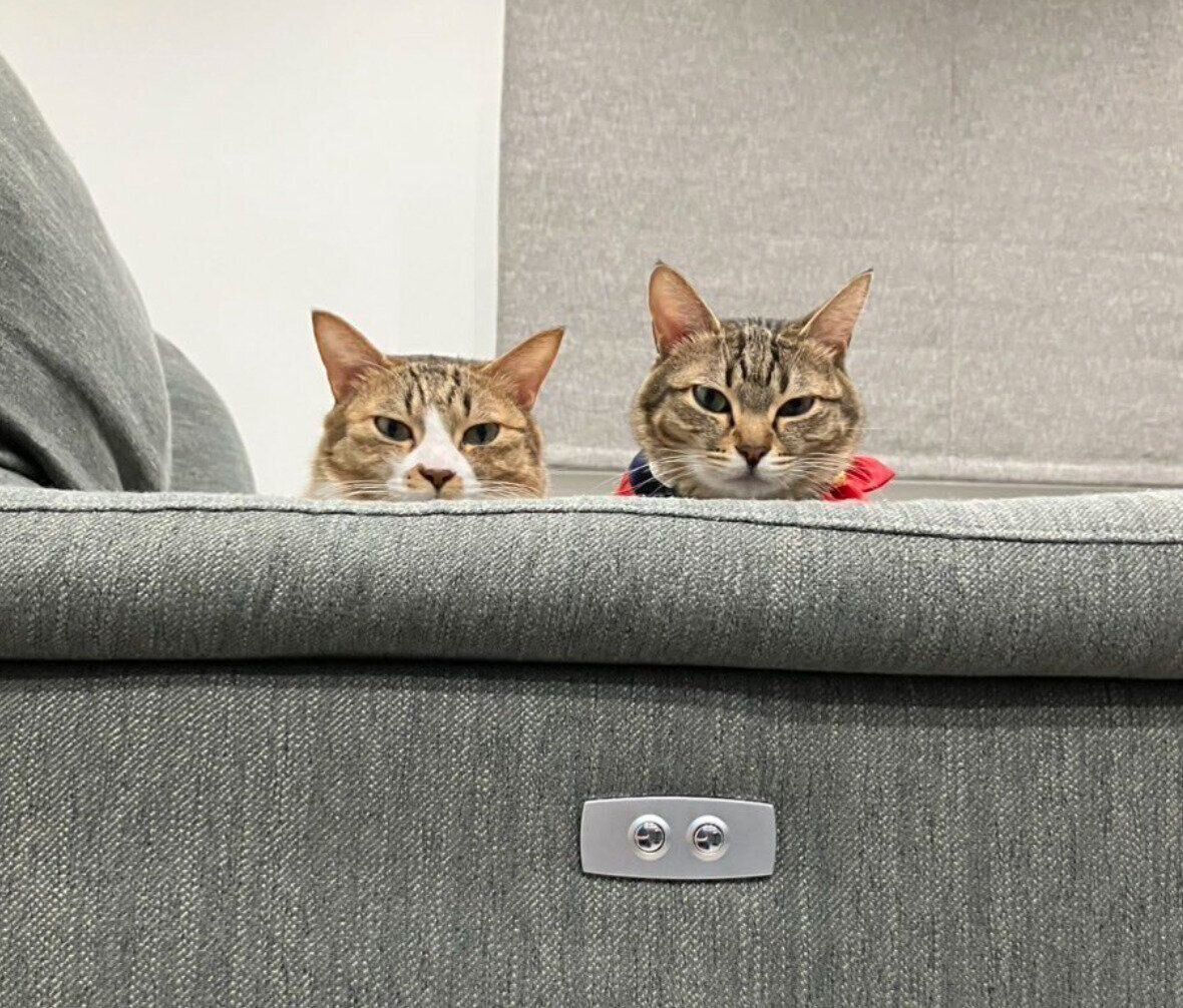 もずくくんとこんぶちゃん