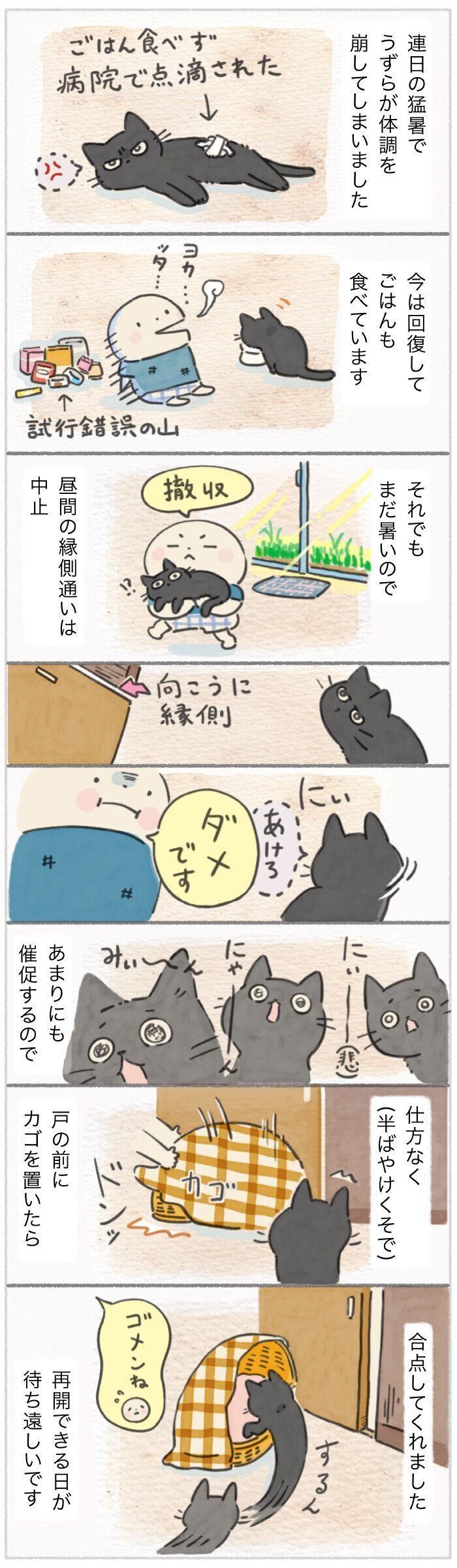 「ねこ連れ草」318話め
