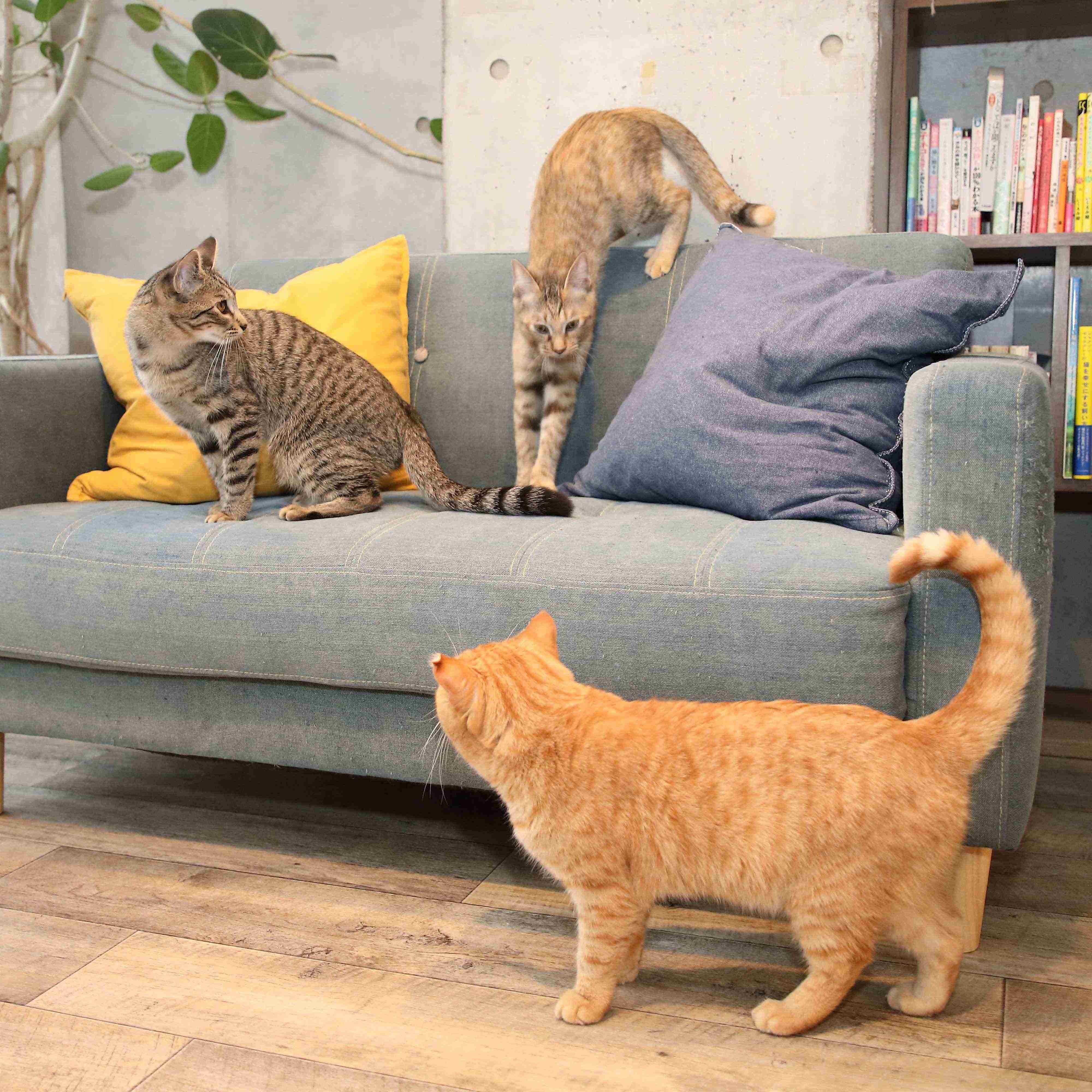 撮影／尾﨑たまき