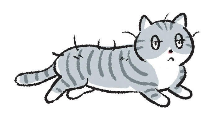 イラスト／くどうのぞみ