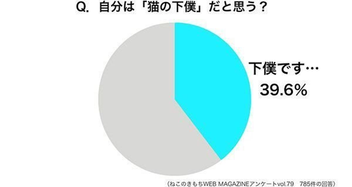 自分を 猫の下僕 と称するのはどんな人 専門家が真面目に分析 ねこのきもちweb Magazine 自分を 猫の下僕 と称するのはどんな人 専門家が真面目に分析 ねこのきもちweb Magazine