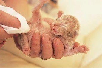 肛門周辺を刺激