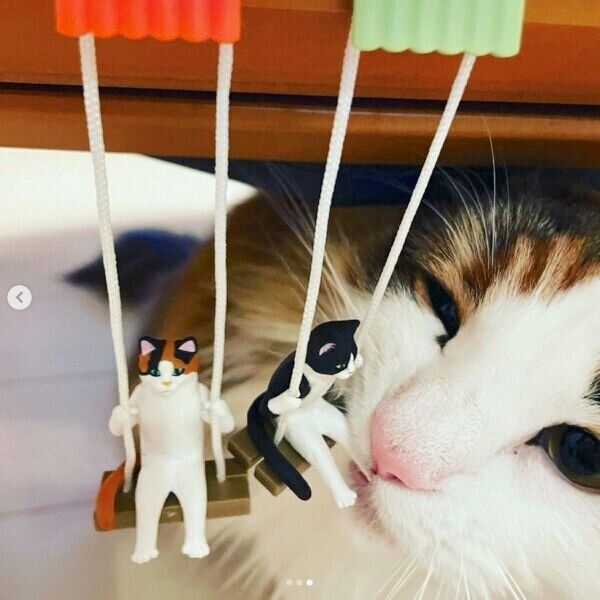 カプセルトイ「ねこブランコ」