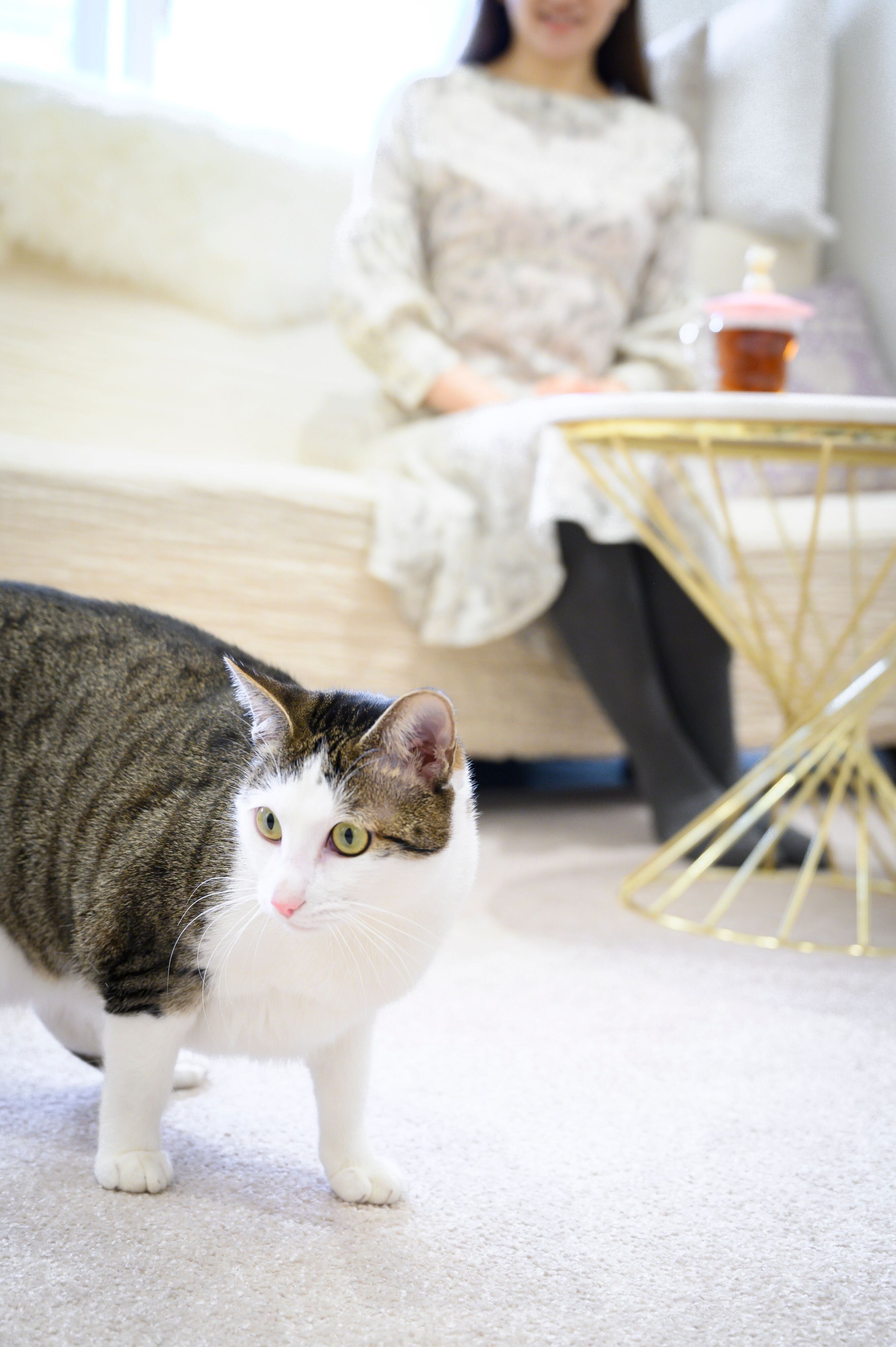 撮影／中川文作