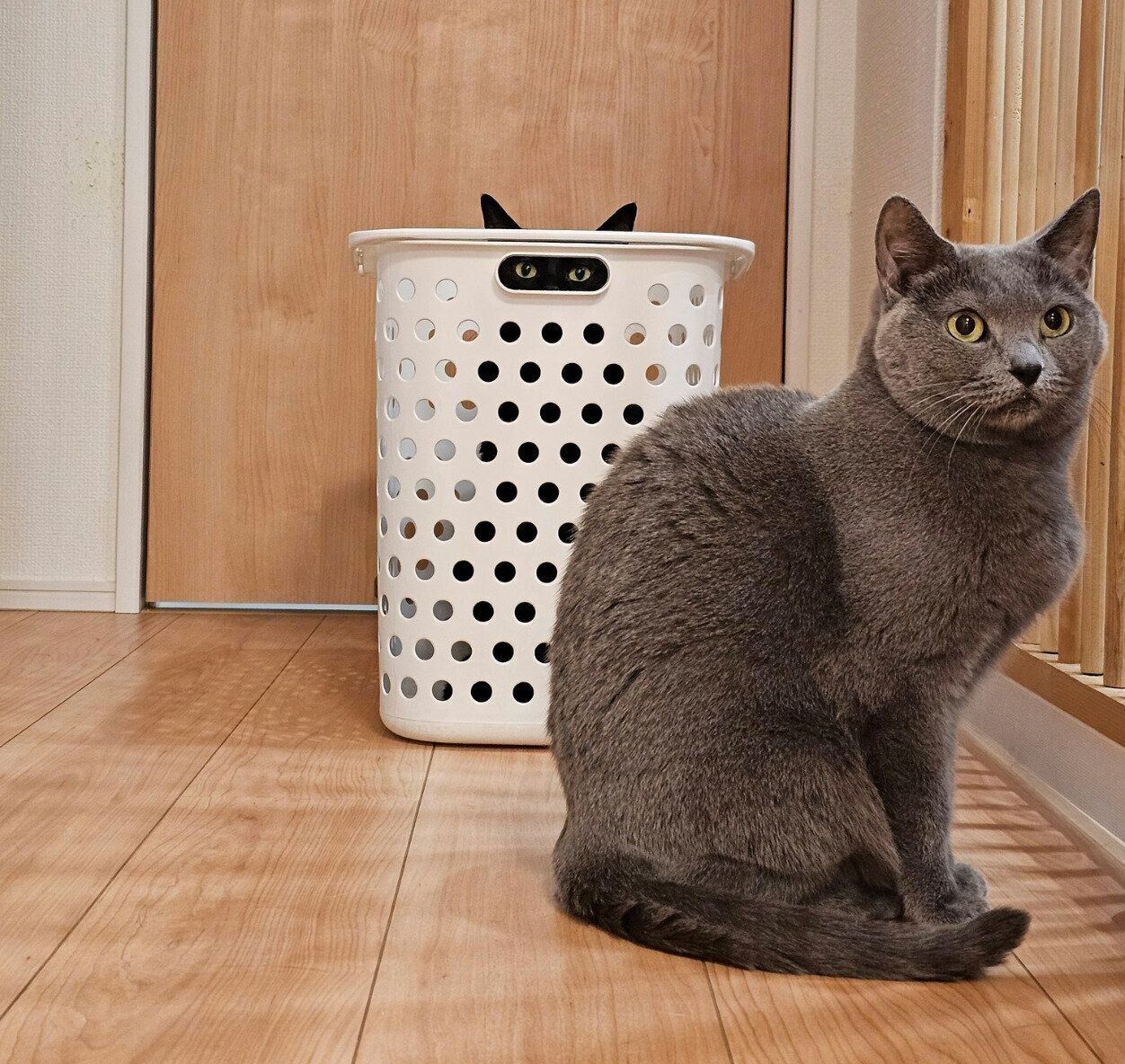 ミトンちゃんとチックくん