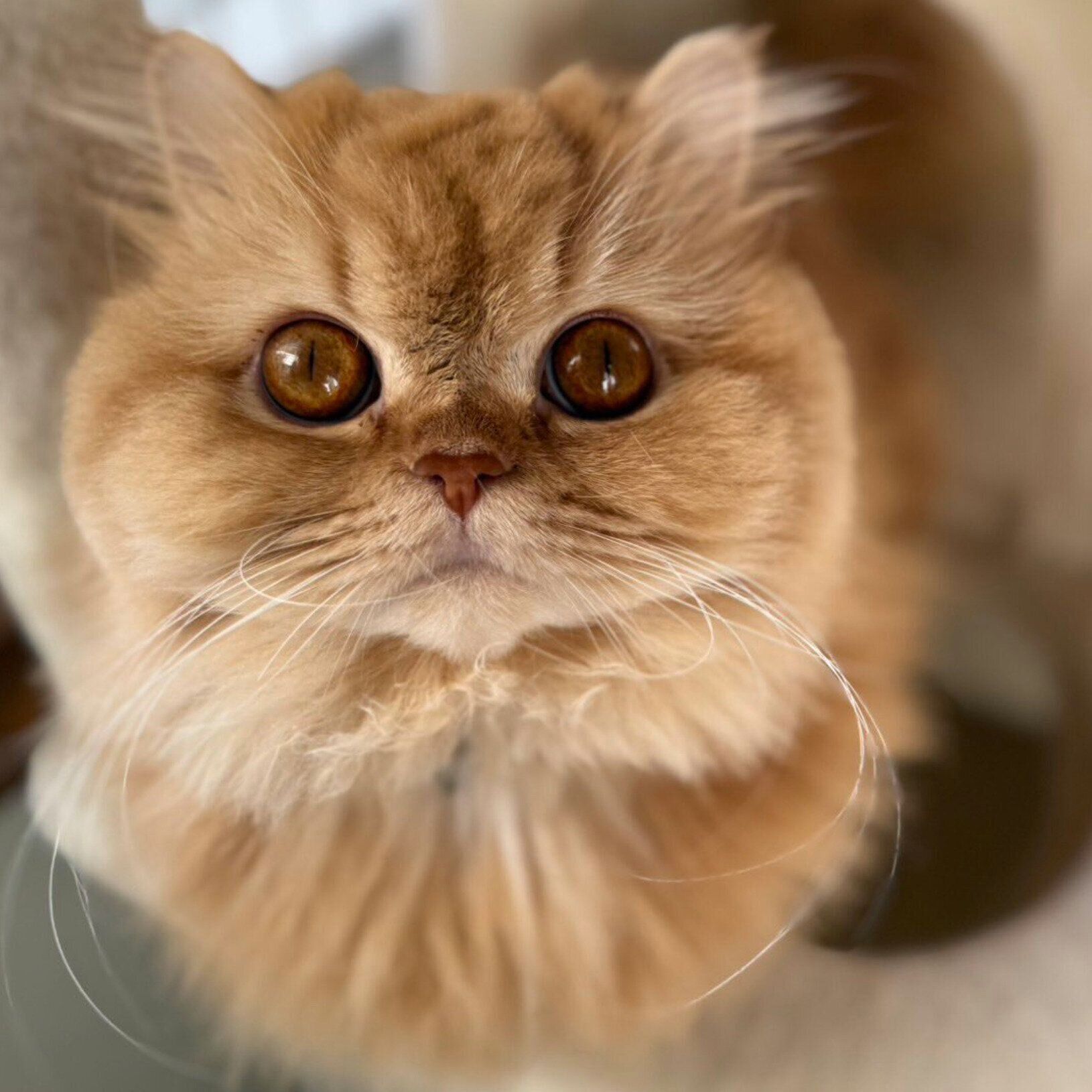 見つめる美桜ちゃん