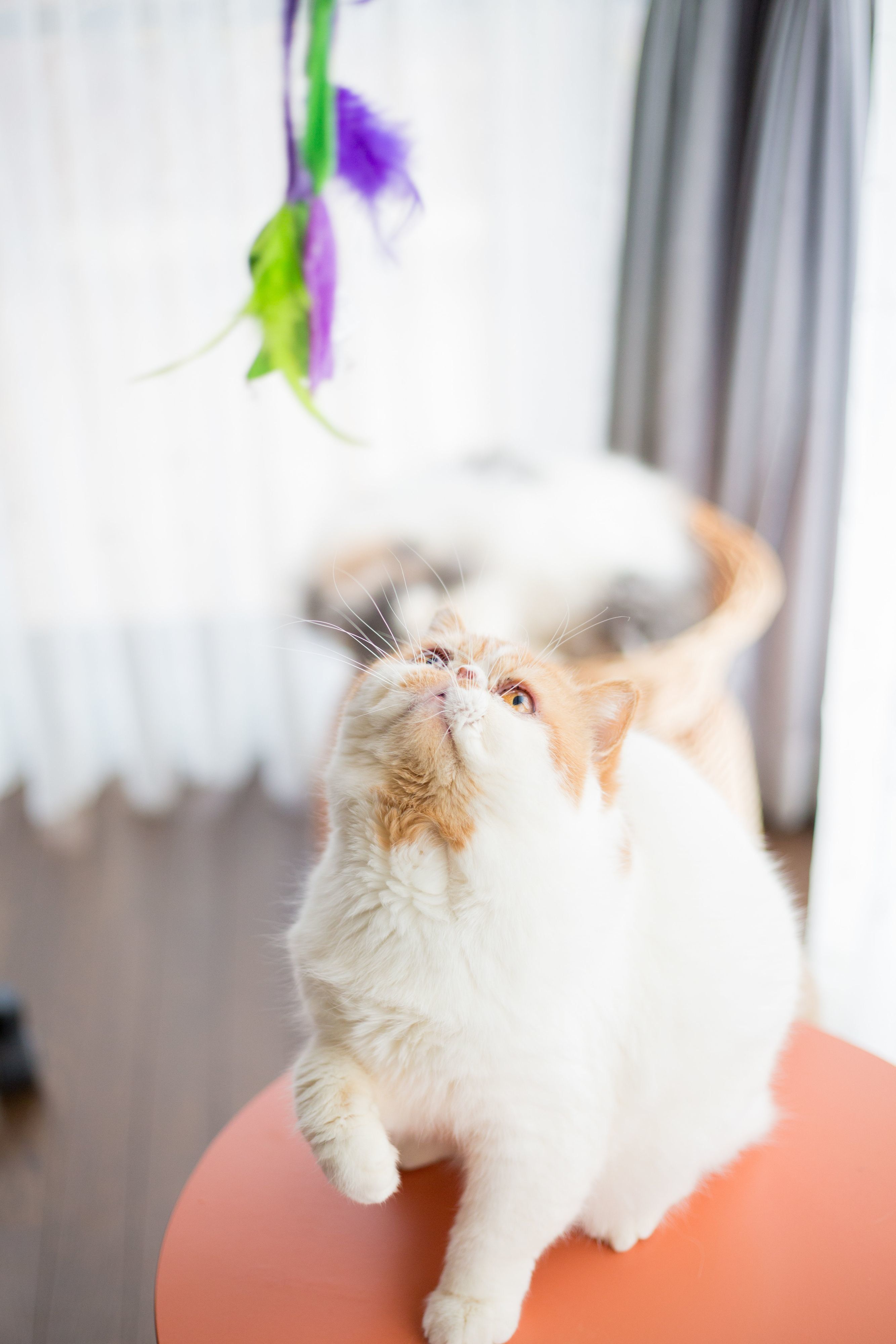 撮影／長谷川里美