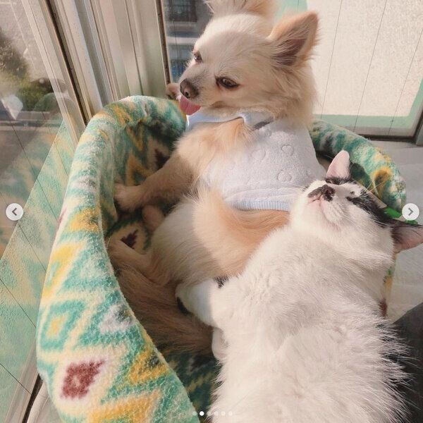 寄り添うウッシーちゃん、ミルクちゃん