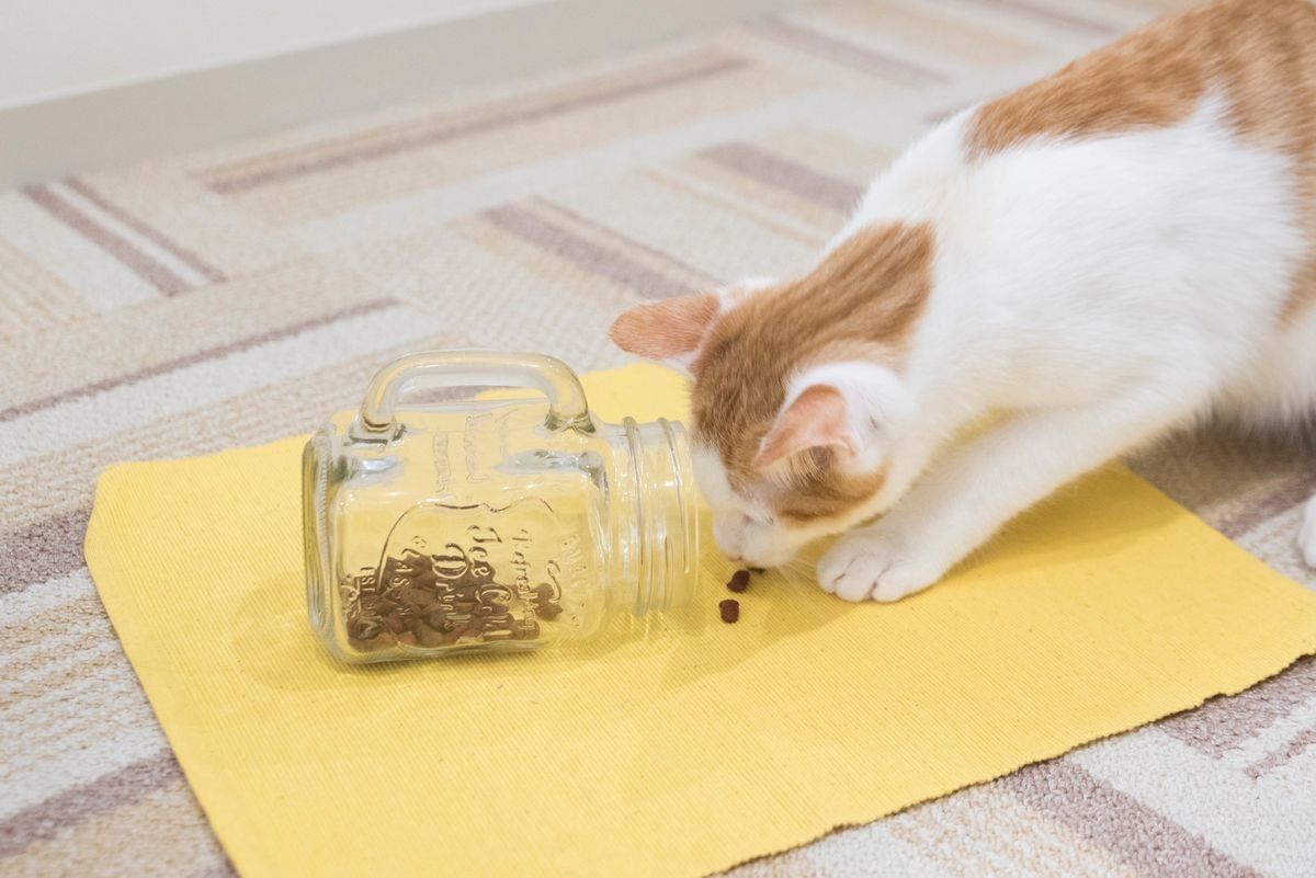 撮影／中川文作