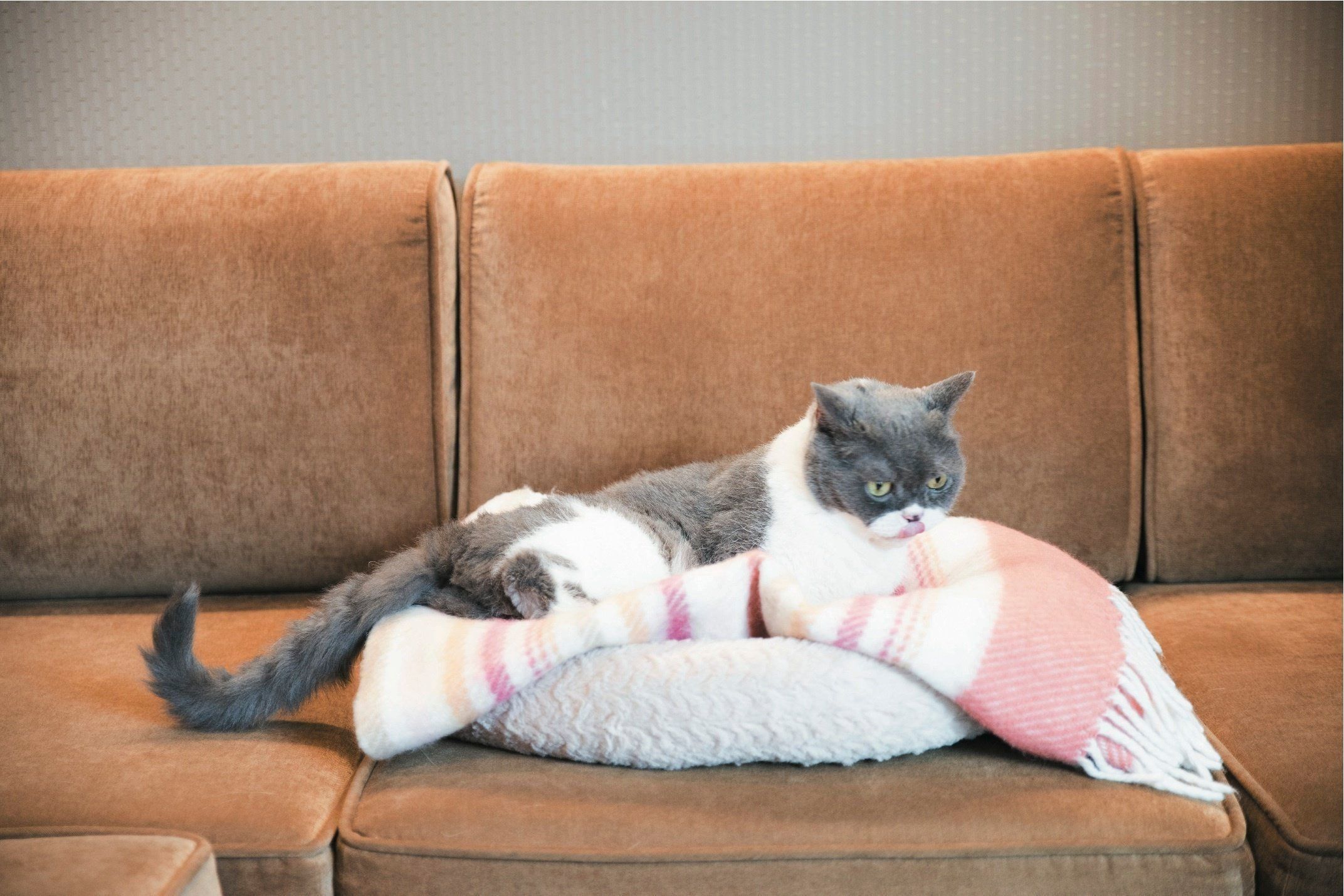 撮影／中川文作