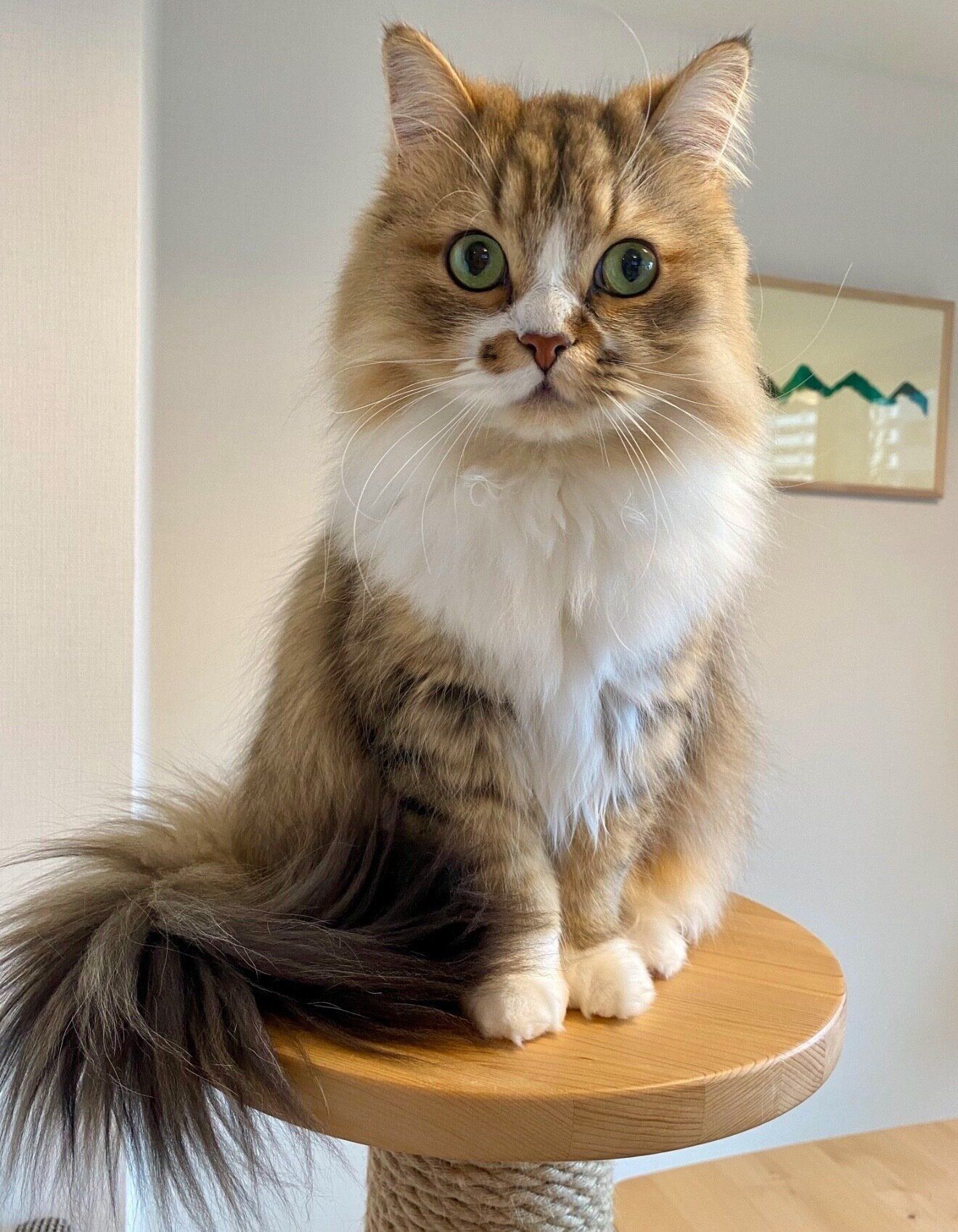 見つめるみぬ次郎くん