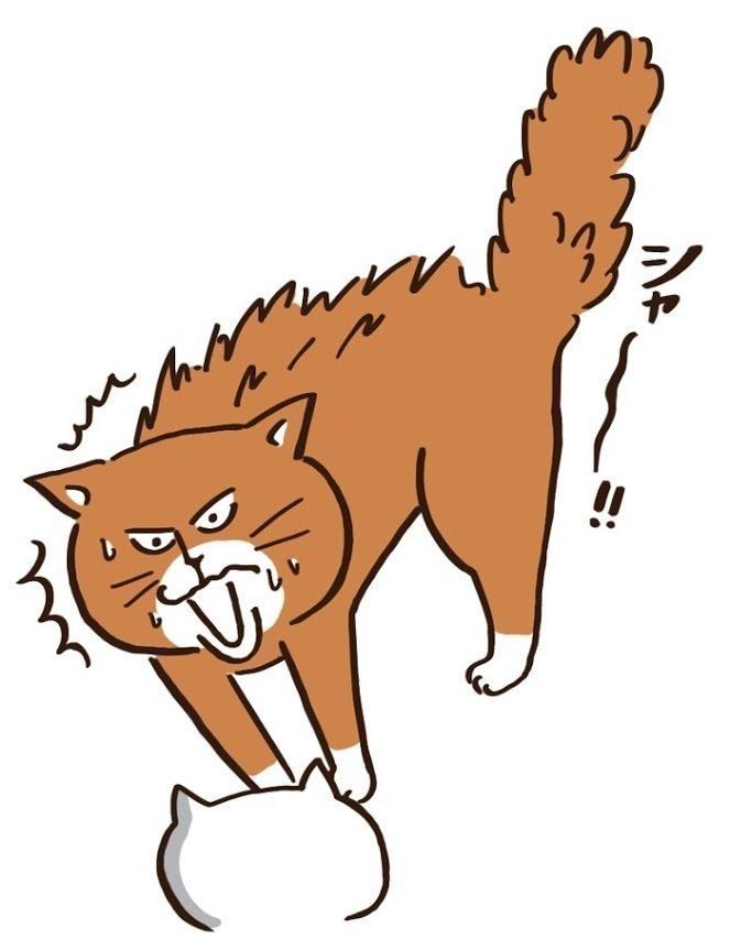 「ねこのきもち」2017年12月号