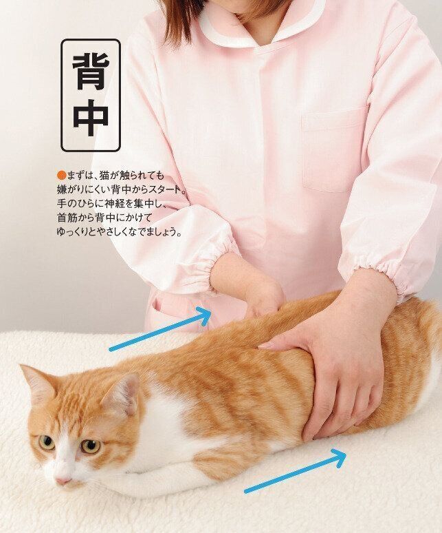 背中チェックの方法