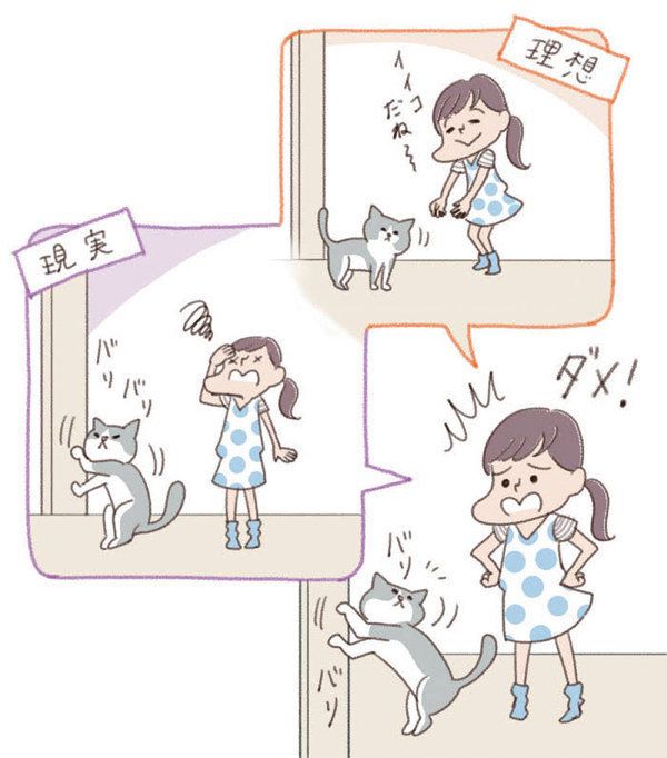 猫との暮らし　理想と現実