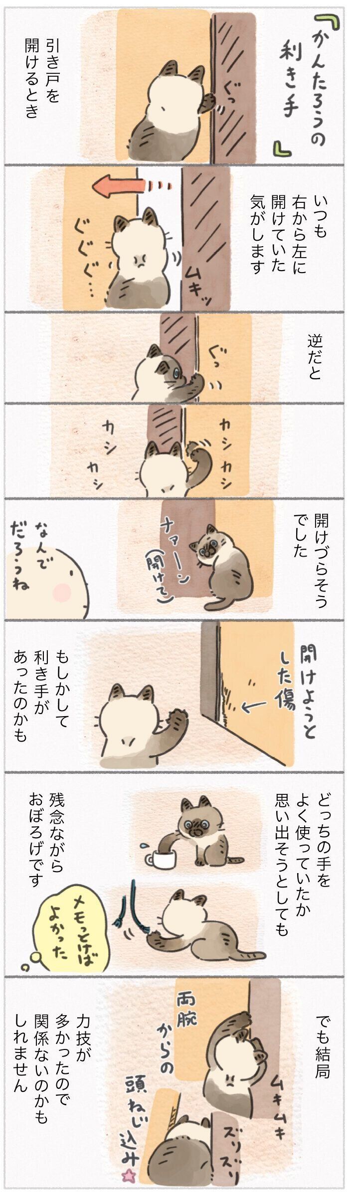 「ねこ連れ草」358話め
