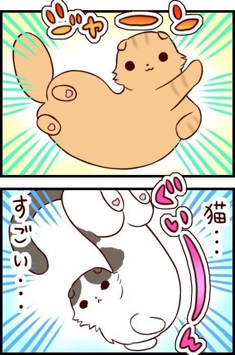 もふもふはヨガの師匠