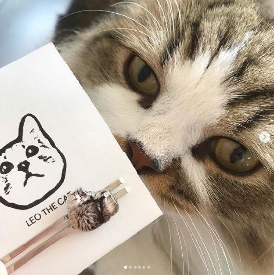 アンモニャイトモチーフのタイピン