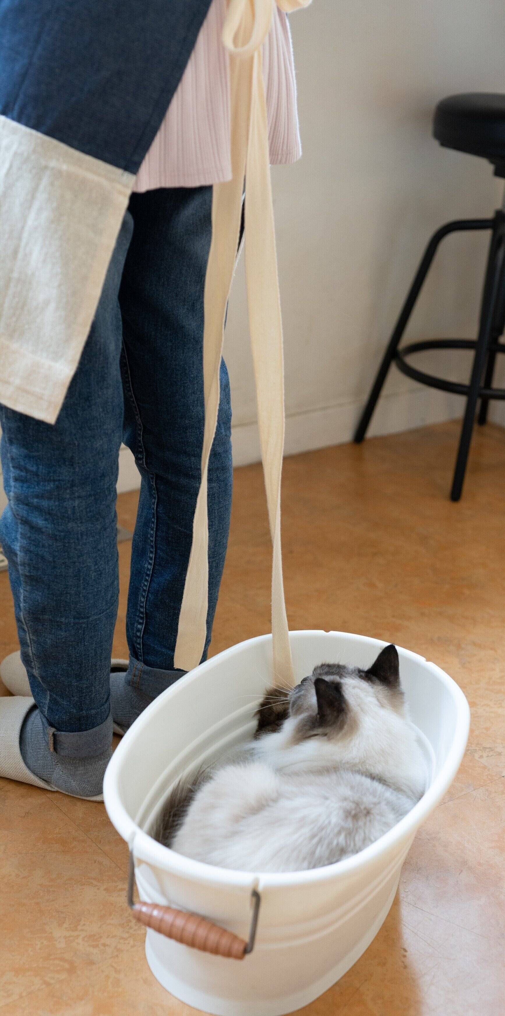 撮影／石原さくら