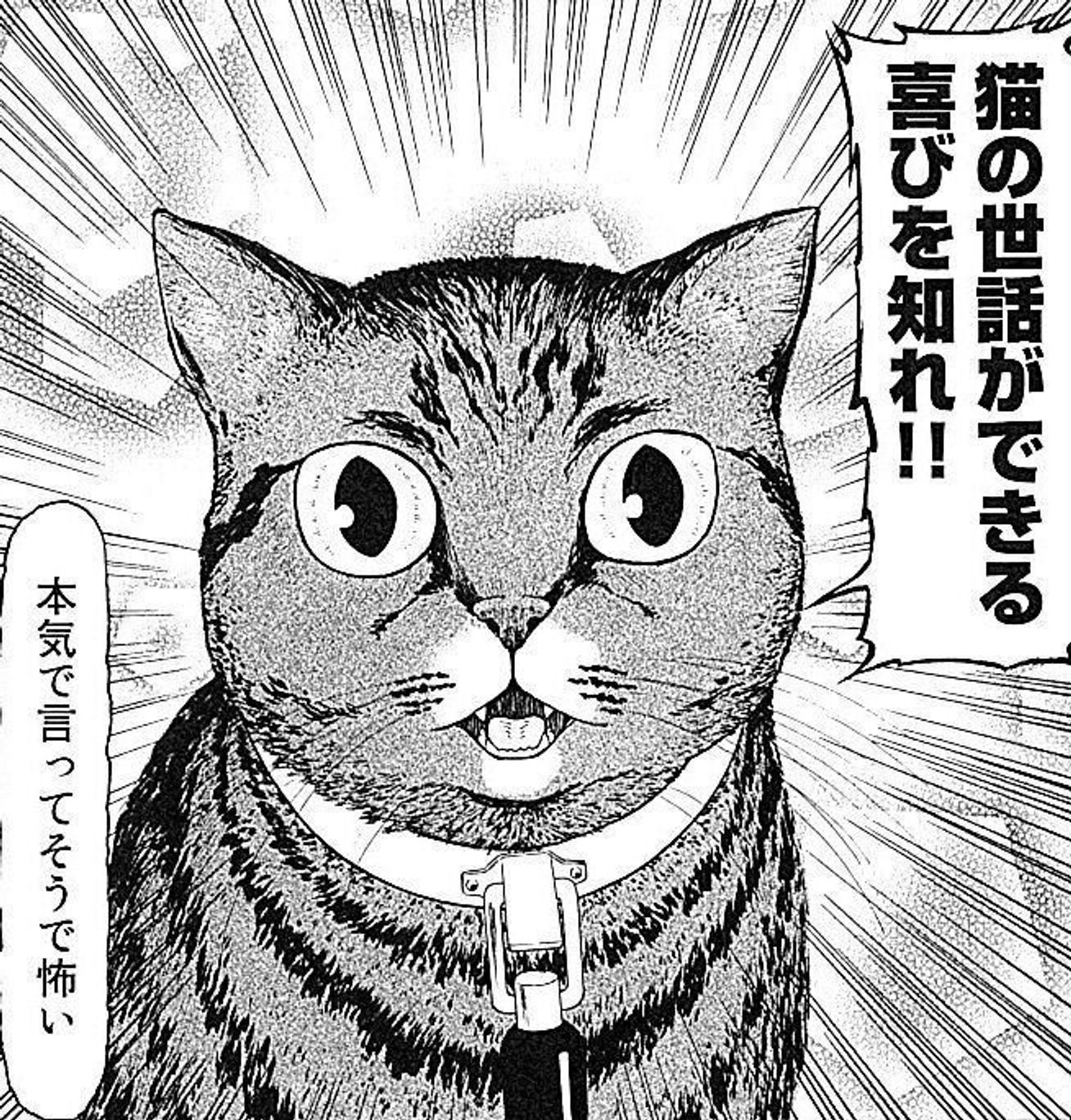 猫星人が地球を侵略 猫目線で猫の様々な問題にも切り込んでいく異色の猫漫画 侵略ニャッ ねこのきもちweb Magazine 猫星人が地球を侵略 猫目線で猫の様々な問題にも切り込んでいく異色の猫漫画 侵略ニャッ ねこのきもちweb Magazine