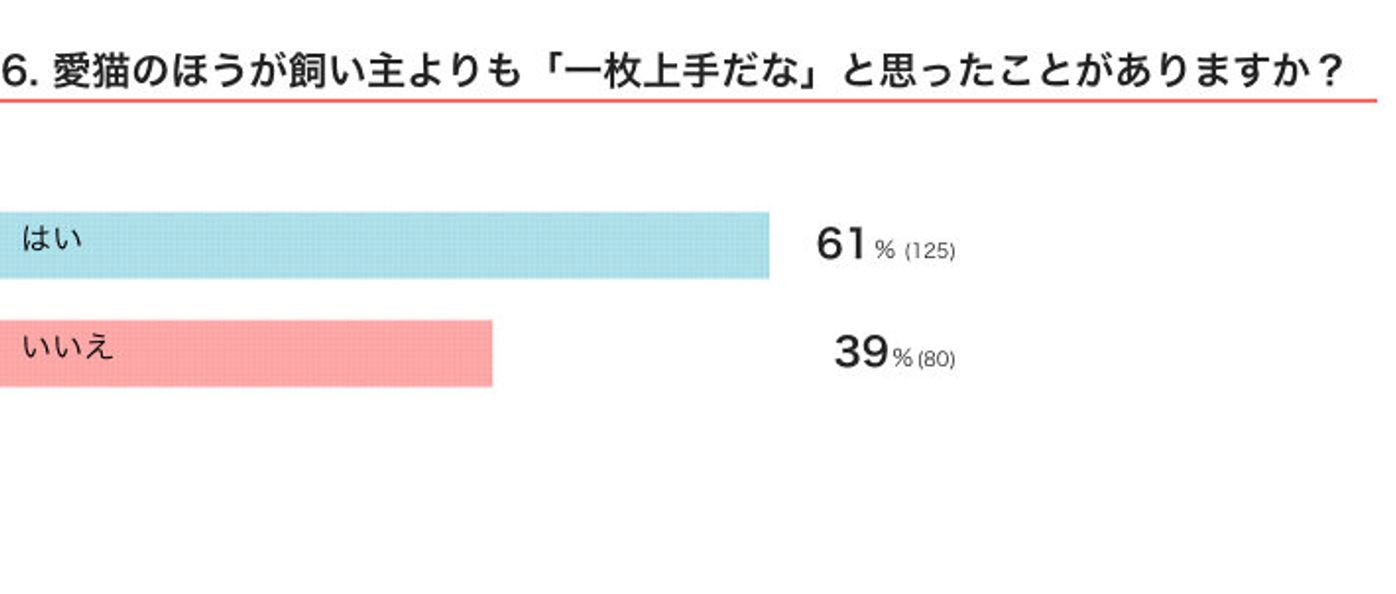 調査 察しがいいようで 笑 飼い主より 一枚上手だ と思った猫の行動 ねこのきもちweb Magazine 調査 察しがいいようで 笑 飼い主より 一枚上手だ と思った猫の行動 ねこのきもちweb Magazine