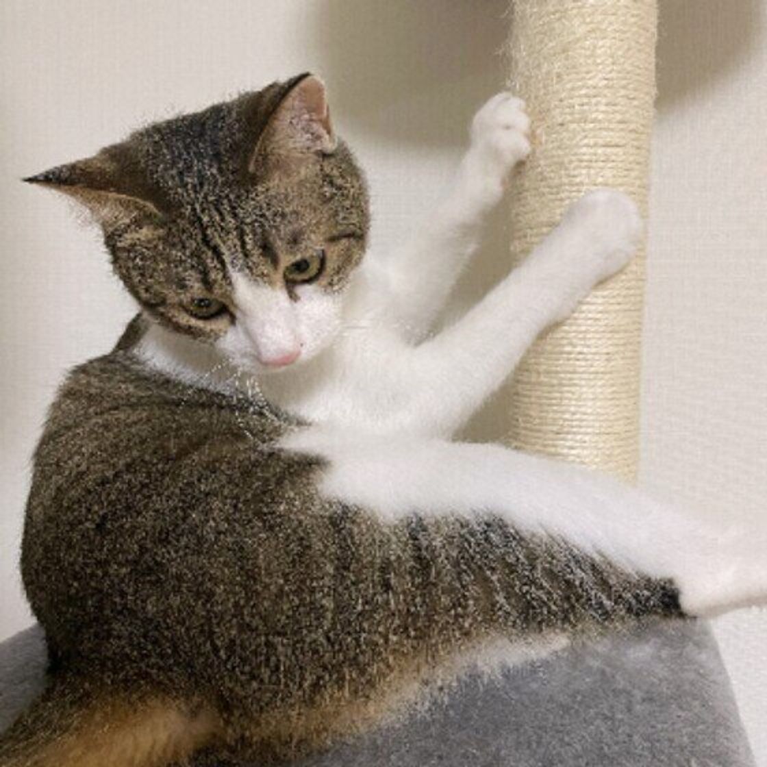 Nar Dekneuuwvm Nar Dekneuuwvm