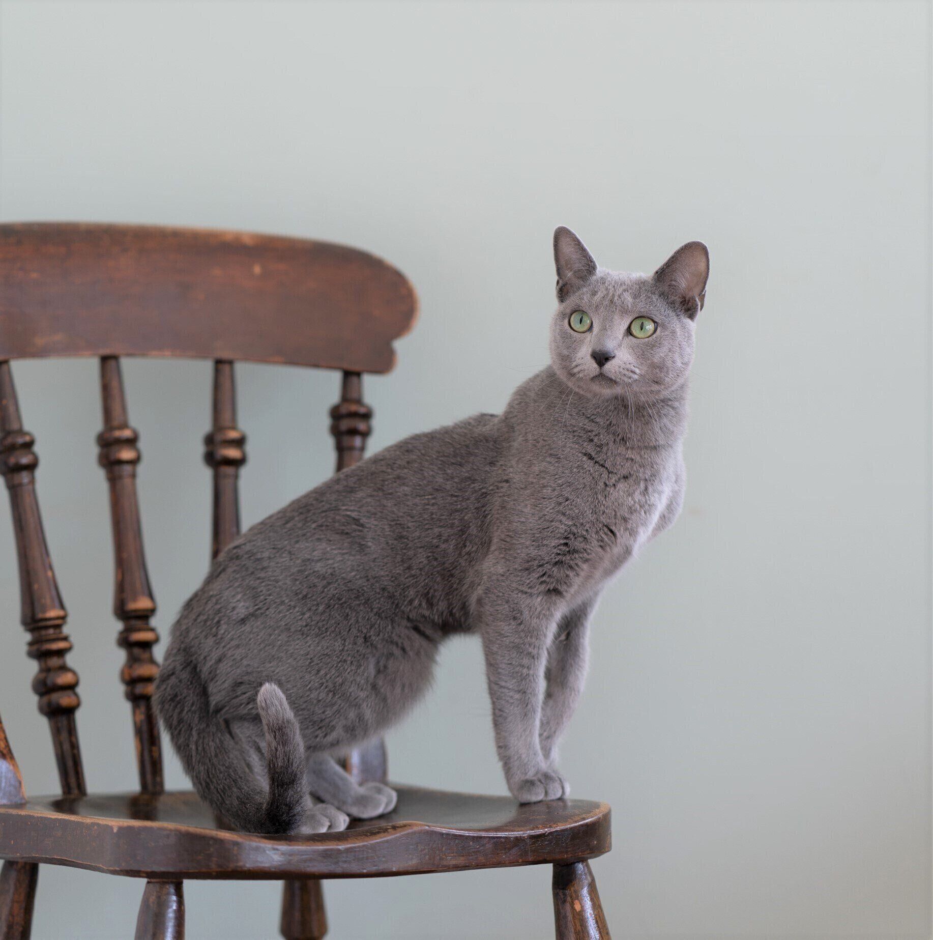 撮影／石原さくら