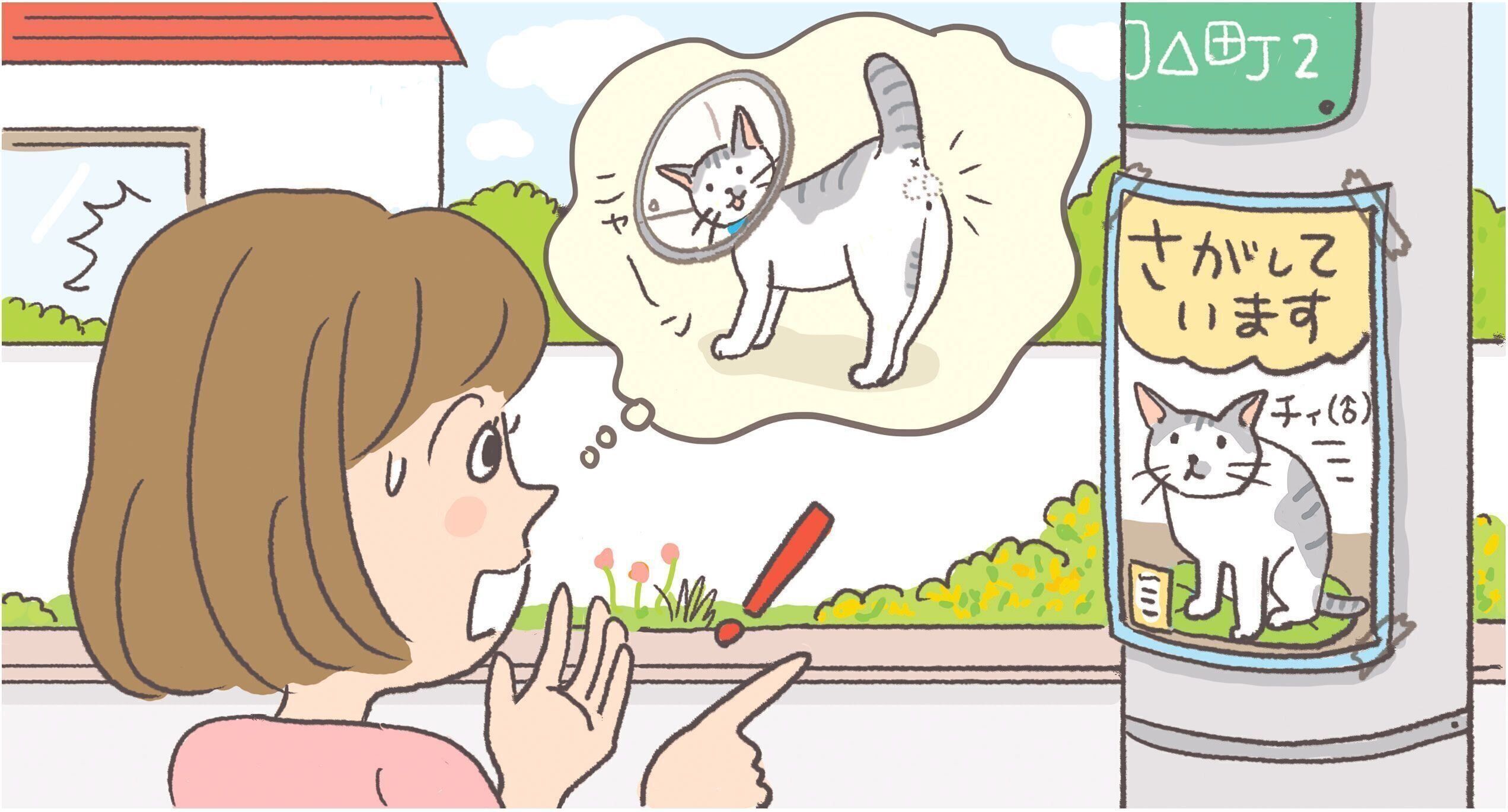 イラスト／杉崎アチャ