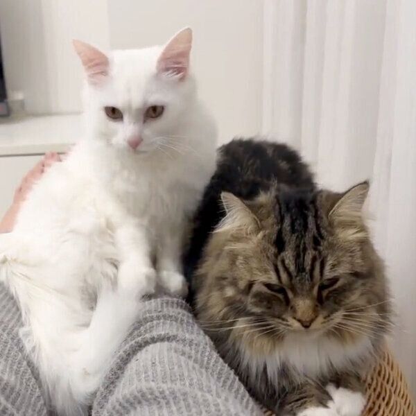 寄り添うマオくんとメルくん