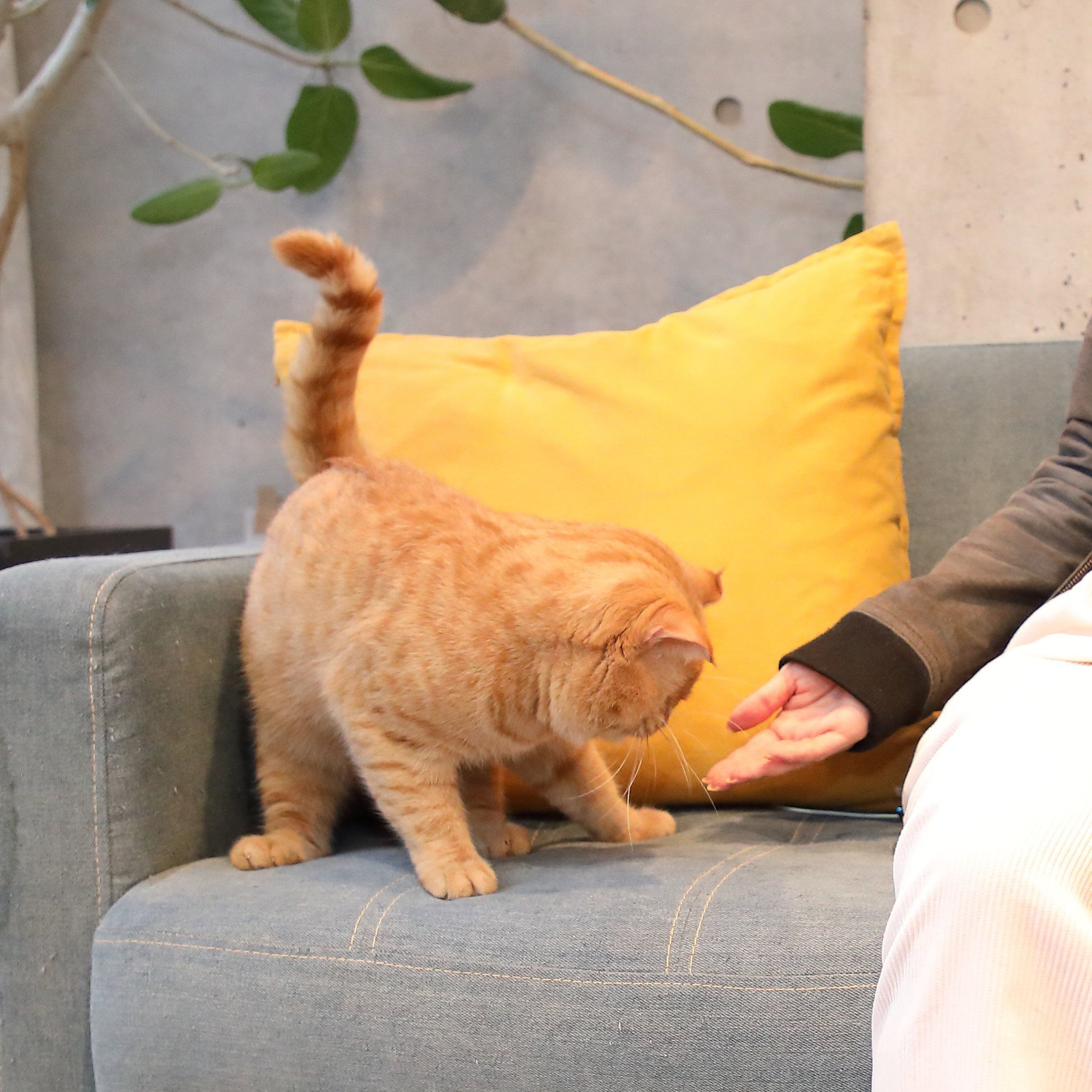 撮影／尾﨑たまき