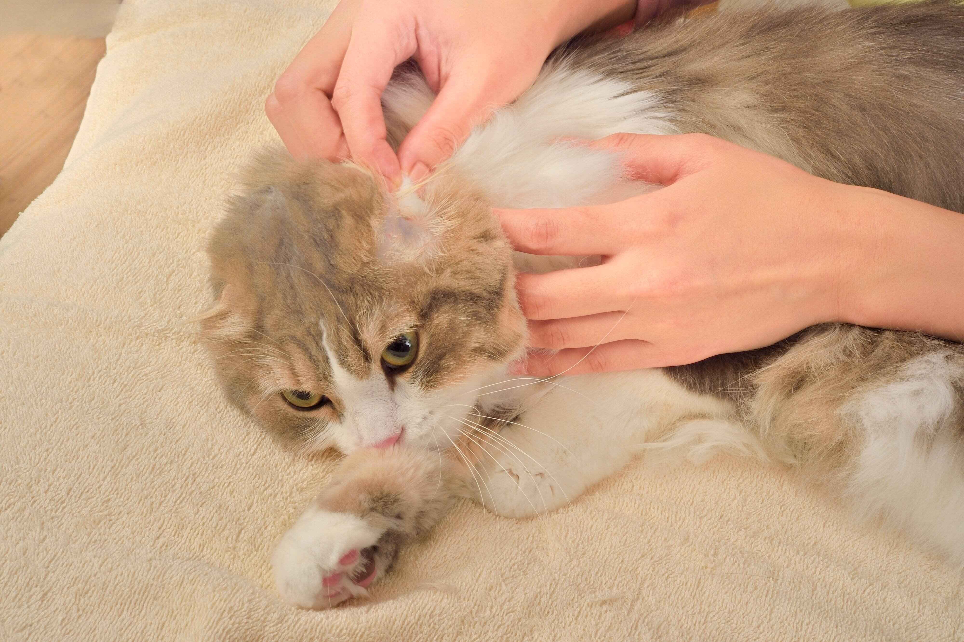 撮影／佐藤正之