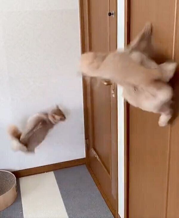 ごはんが待ちきれない凪くん、颯くん