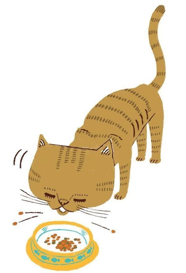 ○○がある・ないのサインでわかる猫の病気