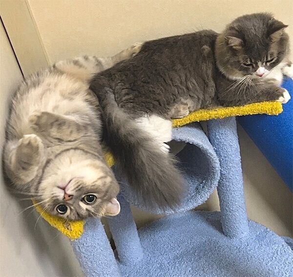 まんぼうくん、くつ下くん