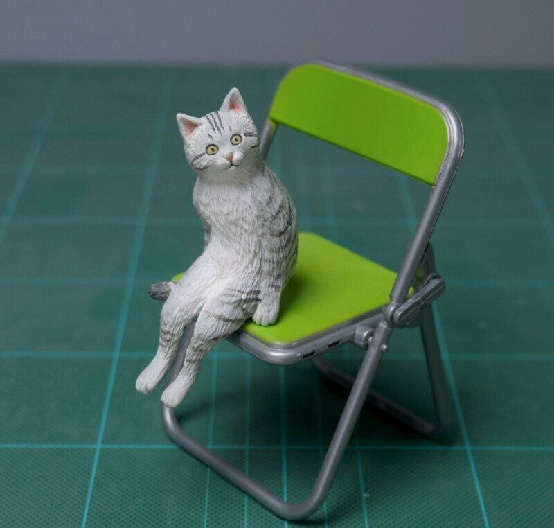 キョトン顔の猫