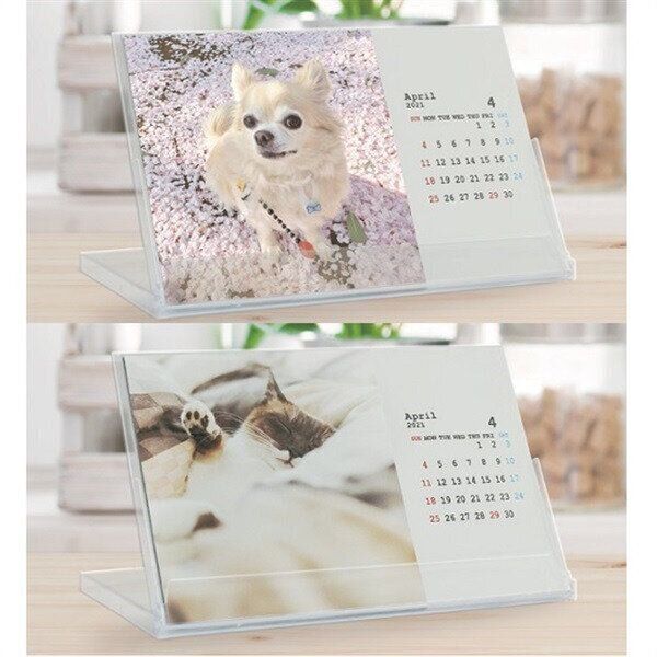 卓上カレンダー （Postcard Calendar）