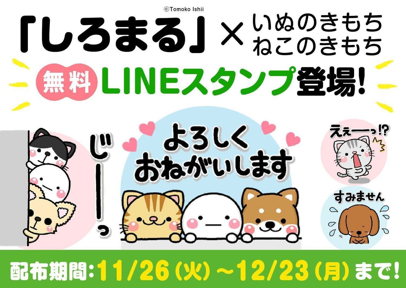 いぬ ねこのきもち しろまる コラボ無料lineスタンプ配信中 12 23まで ねこのきもちweb Magazine いぬ ねこのきもち しろまる コラボ無料lineスタンプ配信中 12 23まで ねこのきもちweb Magazine
