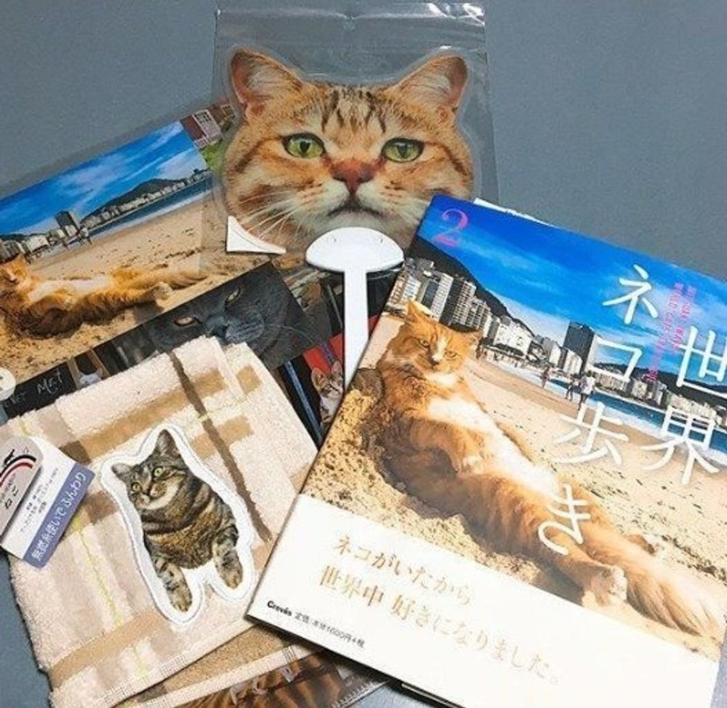 人気猫番組が写真展に 岩合光昭の世界ネコ歩き2 にいってきました ねこのきもちweb Magazine 人気猫番組が写真展に 岩合光昭の世界ネコ歩き2 にいってきました ねこのきもちweb Magazine