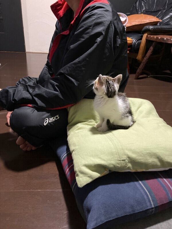 旦那さんを見上げるうしおくん