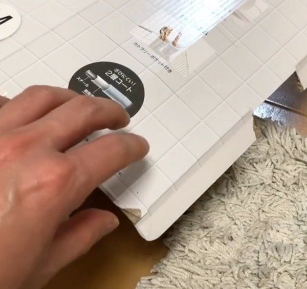 箱の中に隠れるミヌエット