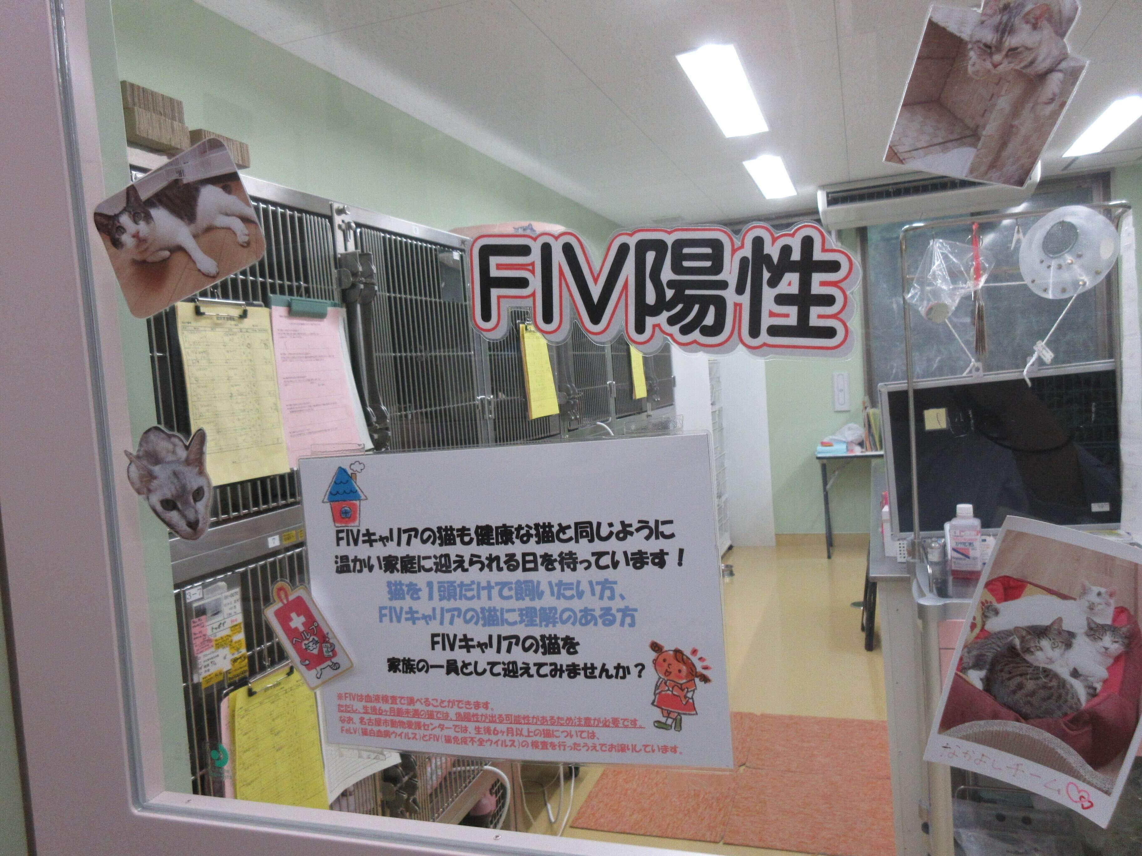 写真提供／名古屋市動物愛護センター