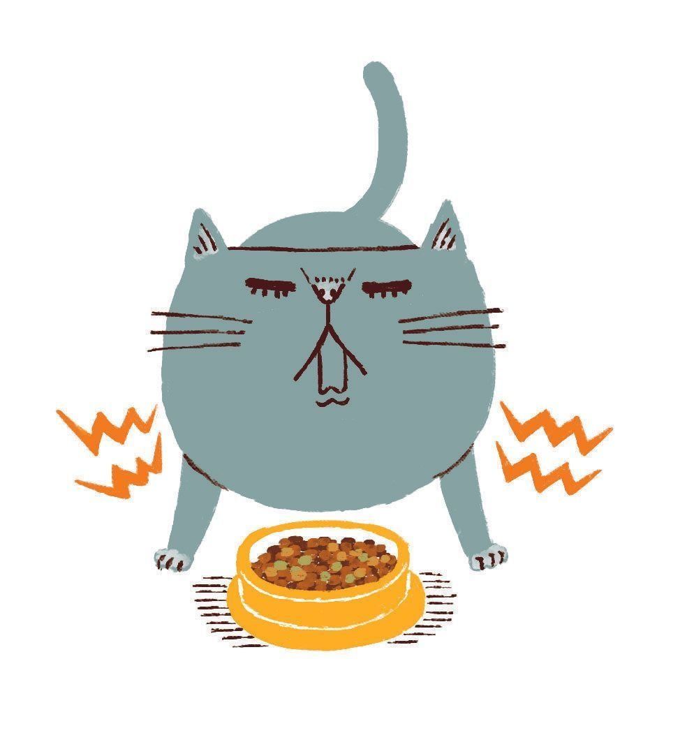 イラスト／Studio CUBE.