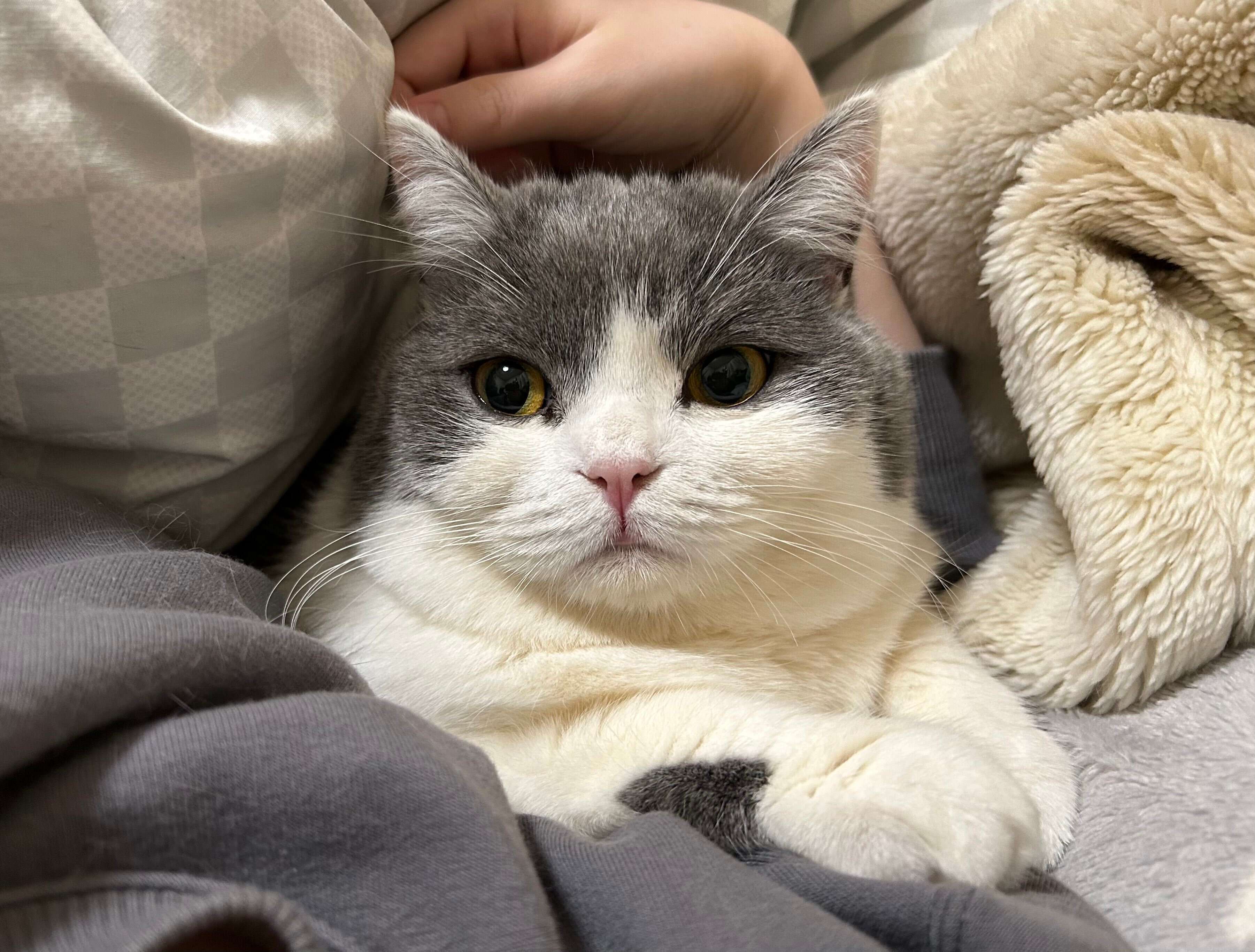 かわいらしい表情が印象的な1枚