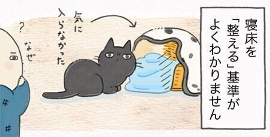 猫の基準がわからない うずらが寝床を 整える ことについて 連載 ねこ連れ草 164話め ねこのきもちweb Magazine 猫の基準がわからない うずらが寝床を 整える ことについて 連載 ねこ連れ草 164話め ねこのきもちweb Magazine