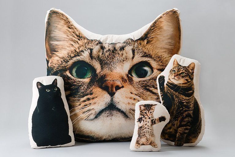 愛猫の写真でつくるオリジナルクッション