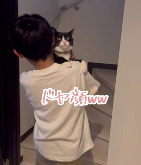 息子さんに甘えるぽんずちゃん