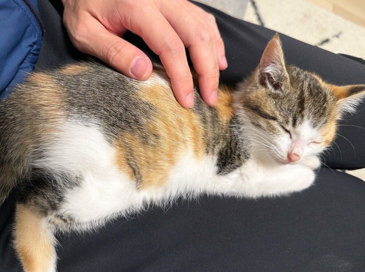 くつろぐうみちゃん