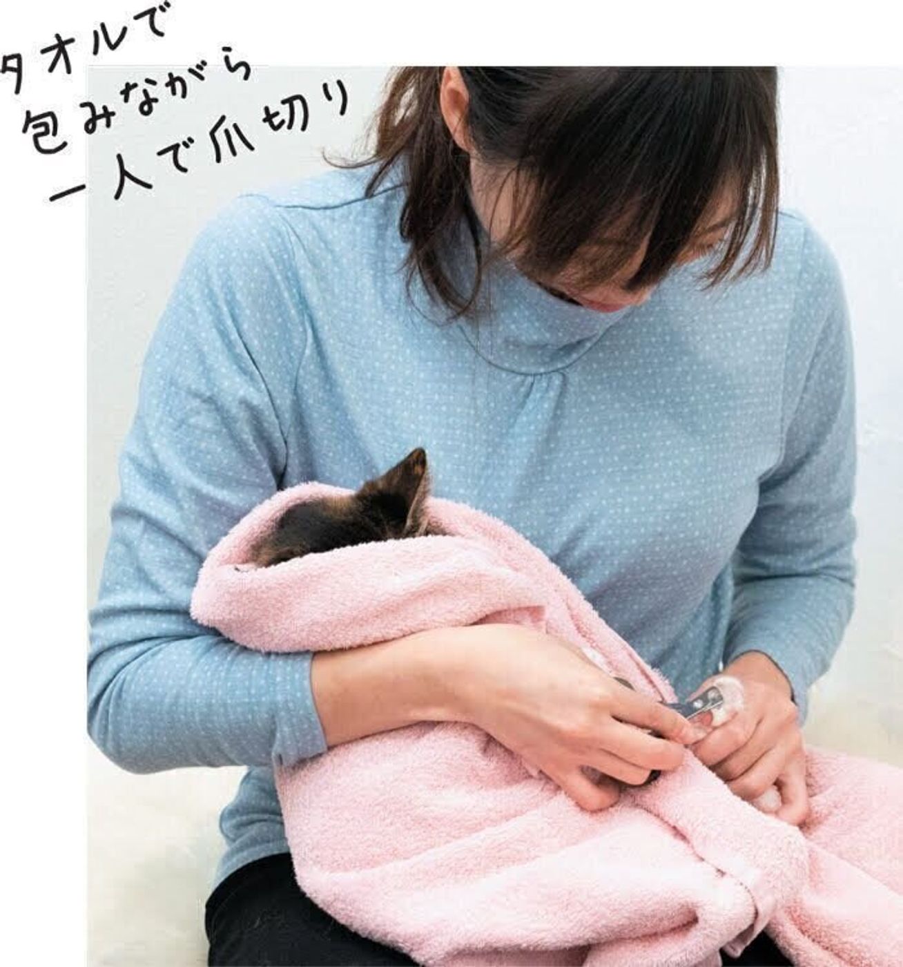苦手にさせない 猫の ながら爪切り のススメ ねこのきもちweb Magazine 苦手にさせない 猫の ながら爪切り のススメ ねこのきもちweb Magazine
