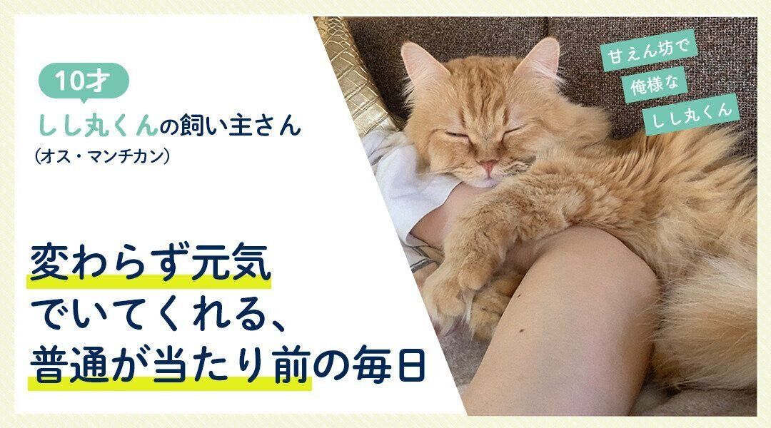 変わらず元気でいてくれる、普通が当たり前の毎日